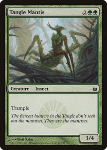 91-tanglemantis