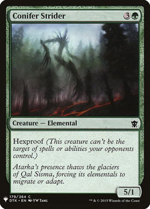 dtk-179-coniferstrider