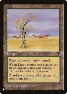 vis-165-karoo